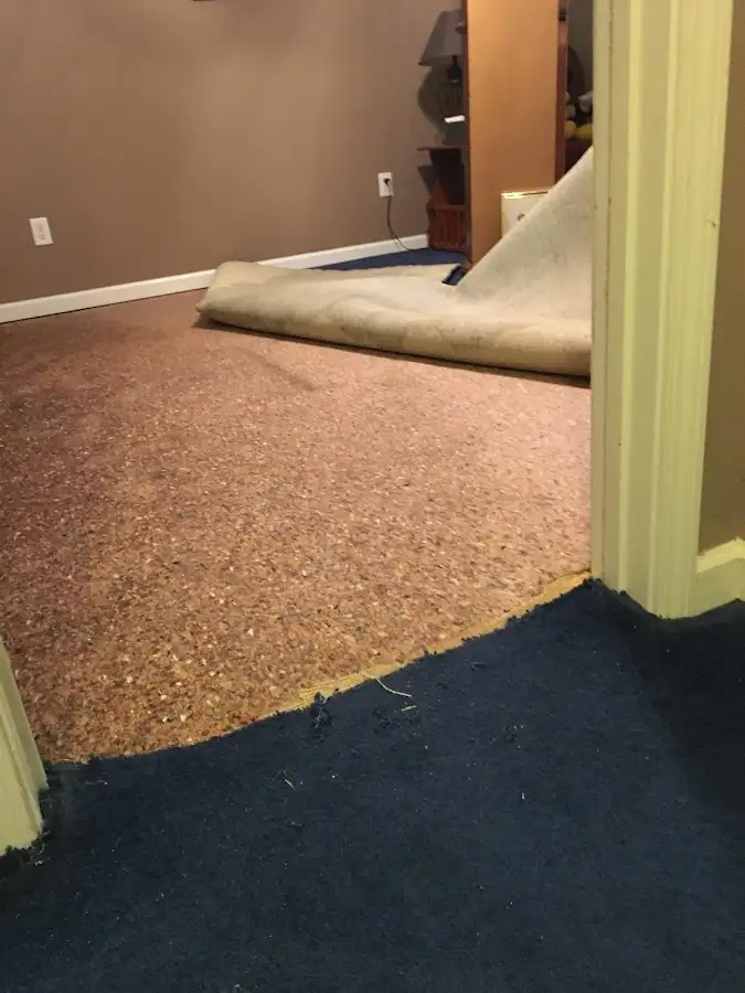 Carpet pad removal revealing water damage during Drying & Dehumidification in Cedar Grove