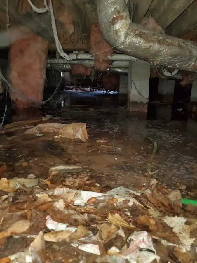 Crawl space flood assessment for Commercial Water Damage Restoration in Cedar Grove