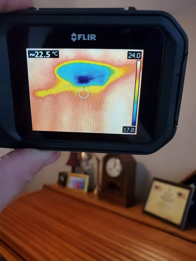 Thermal imaging inspection for water damage in Cedar Grove