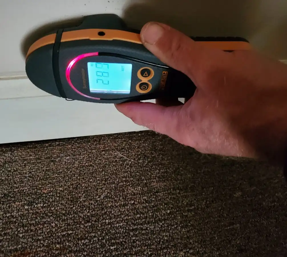 Moisture detection at baseboard during Mold Inspection & Testing in Cedar Grove